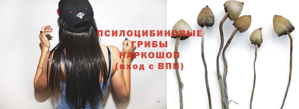 PSILOCYBIN Осташков