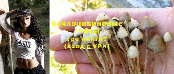 гашик Остров