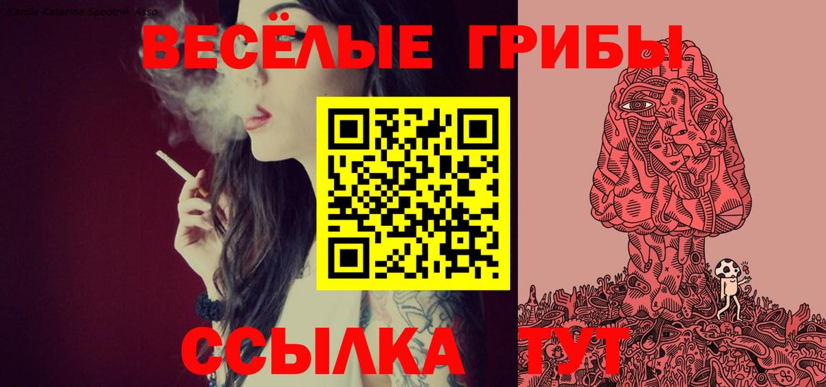 Галлюциногенные грибы прущие грибы  магазин    Вход с VPN  Новосибирск  Псилоцибиновые грибы Magic Shrooms 