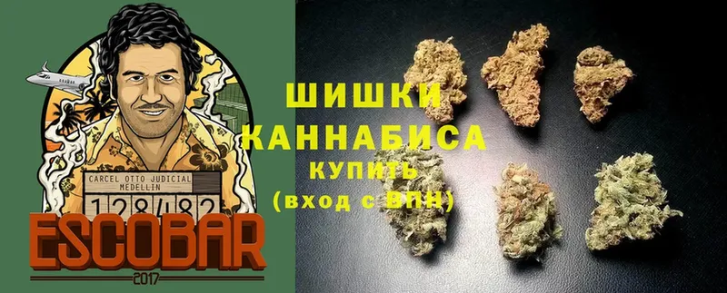 Бошки марихуана SATIVA & INDICA  ссылка на мегу как зайти  Новосибирск 